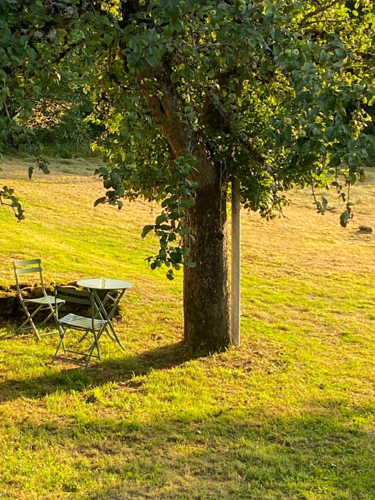 Une Pause En Correze Sarroux Dış mekan fotoğraf